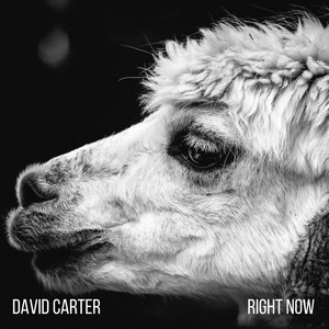 Обложка для David Carter - My Life