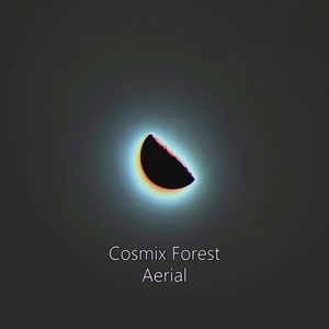 Обложка для Cosmix Forest - Aerial Ⅱ