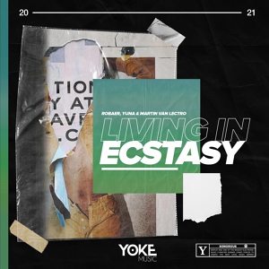 Обложка для Robaer, YUNA, Martin Van Lectro - Living in Ecstasy