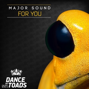 Обложка для Major Sound - For You