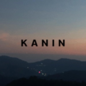 Обложка для KANIN - หาย