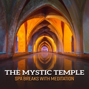 Обложка для Meditation Spa Music Ensemble - Spa Pampering