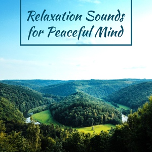 Обложка для Relaxing Music - Deep Meditation