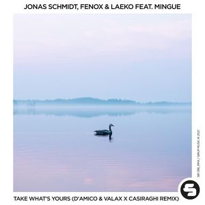Обложка для Jonas Schmidt, Fenox, Laeko feat. Mingue - Take What's Yours
