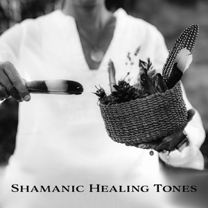 Обложка для Shamanic Drumming Consort - Banish the Malevolence