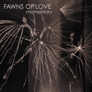 Обложка для Fawns Of Love - Someday