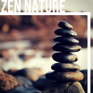 Обложка для Nature Ambience & Esperanza Zen - It Is a Wonderful Day