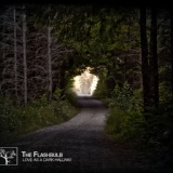 Обложка для The Flashbulb - We Are Alone in a City