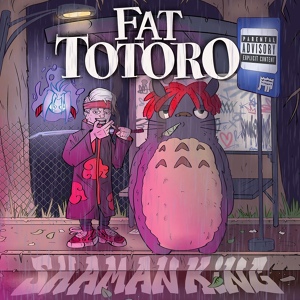 Обложка для FAT TOTORO - Shaman King