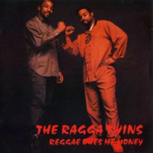 Обложка для The Ragga Twins - The Killing