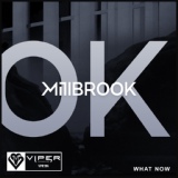 Обложка для Millbrook - What Now