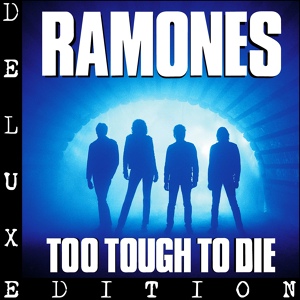 Обложка для Ramones - Smash You