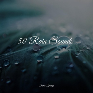 Обложка для Nursery Rhymes, Rain Sounds Collection, Rainforest - Delicate Rains