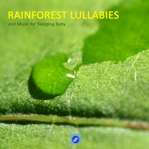 Обложка для Rainforest Music Lullabies Ensemble - Sweet Little Pet With Sounds of Nature for Wellness and Yoga for Children