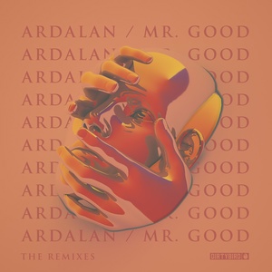 Обложка для Ardalan feat. Party Patty - Mr. Good