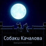 Обложка для Собаки Качалова - Блюз делающих селфи (Selfie blues)