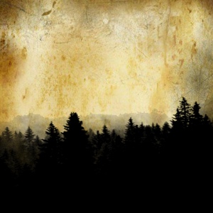 Обложка для Помутнение Рассудка - Тёмный лес