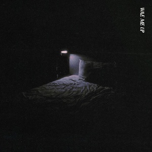 Обложка для Ivan B - Wake Me Up