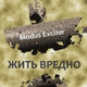 Обложка для Modus Exciter - Лагуна у скалы крутой