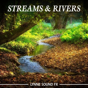 Обложка для Lynne Sound Fx - Stream Running over Rocks