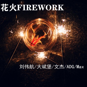 Обложка для 刘伟航, 文杰, 大斌堡, ADG, Max - 花火
