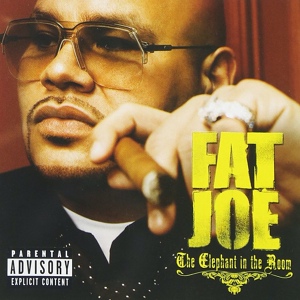 Обложка для Fat Joe, Dre & Plies - Ain't Sayin' Nothin'