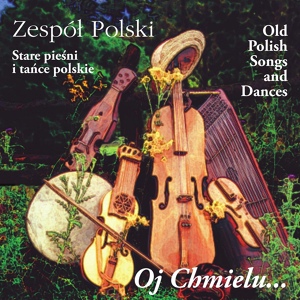 Обложка для Zespół Polski - Polka rzeszowska