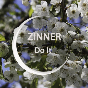 Обложка для Zinner - Do It