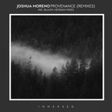 Обложка для Joshua Moreno feat. Gambitt - Point of Renewal