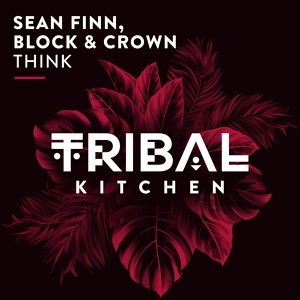 Обложка для Sean Finn, Block & Crown - Think