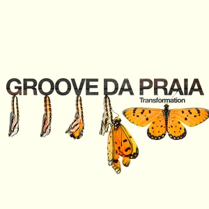 Обложка для Stevie Coleman, Groove Da Praia - Todas As Coisas