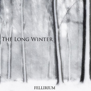 Обложка для Fellirium - Forest Sleeps