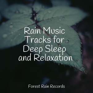 Обложка для Regen, Regengeräusche, Yoga Workout Music - Rain, Light Metal, Window Pane