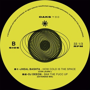 Обложка для Jheal Bashta - How Cold Is Space