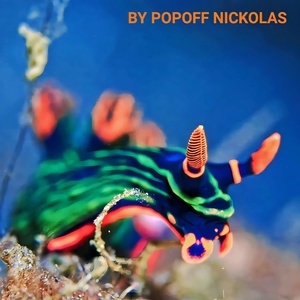 Обложка для BY POPOFF NICKOLAS - Enter Any Key