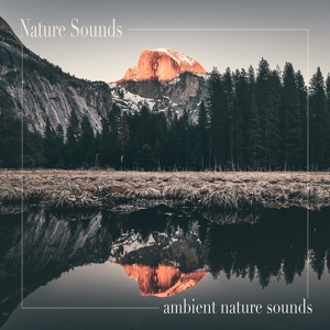 Обложка для Nature Sounds - Coastal Ambience