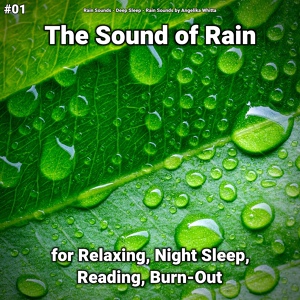 Обложка для Rain Sounds, Deep Sleep, Rain Sounds by Angelika Whitta - Restorative Rain Sounds
