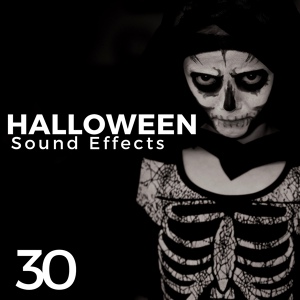Обложка для Halloween Sound Effects Masters - Music for Halloween Parties