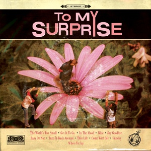 Обложка для To My Surprise - This Life