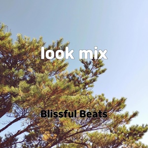 Обложка для Blissful Beats - look mix