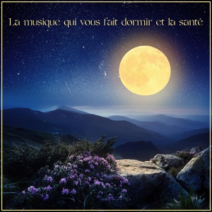 Обложка для Zen Méditation Ambiance, Ensemble de Musique Zen Relaxante, Zone de Détente - Musique de sommeil celtique paisible