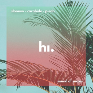 Обложка для Slomow, Carabide, P-Rob feat. himood - Sound Of Succes