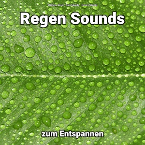 Обложка для Clemens Gesel, Rain Sounds, Nature Sounds - Zen