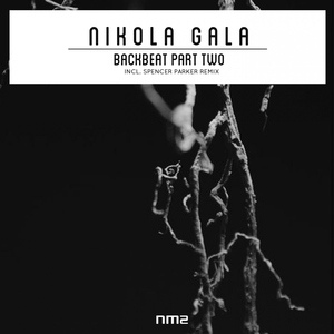 Обложка для Nikola Gala - The Trap