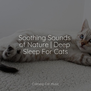 Обложка для Music For Cats TA, RelaxMyCat, Cat Music Experience - Sleeping Music