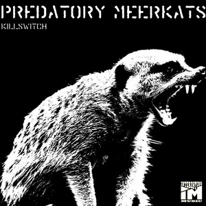 Обложка для Predatory Meerkats - Crash