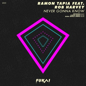 Обложка для Ramon Tapia feat. Rob Harvey - Never Gonna Know