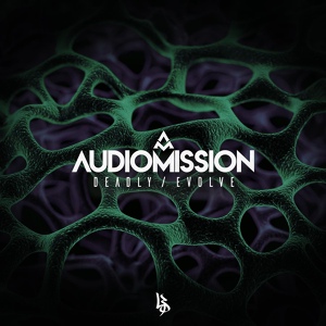 Обложка для Audiomission - Evolve
