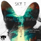 Обложка для Sky T - After The Birds