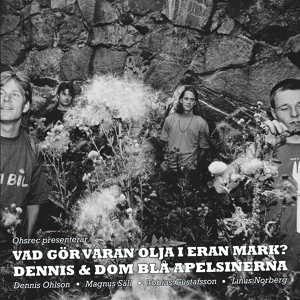 Обложка для Dennis & Dom Blå Apelsinerna - Idiot